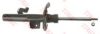 TRW JGM1197SL Shock Absorber